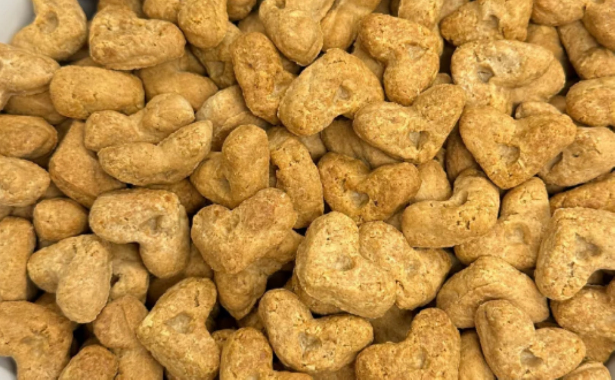 BeyondWhiskers banana cinnamon crunchy dog treats